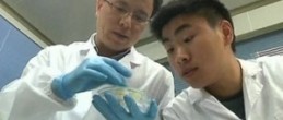 Методы борьбы с заболеваниями полости рта изучены Китайскими учеными