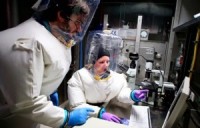 Врачи без границ начали тестировать вакцину от Эболы