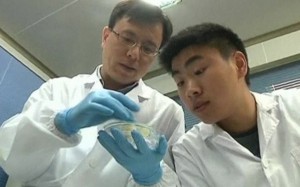 Китайскими учеными были проведены исследования по изучению методов борьбы с заболеваниями полости рта